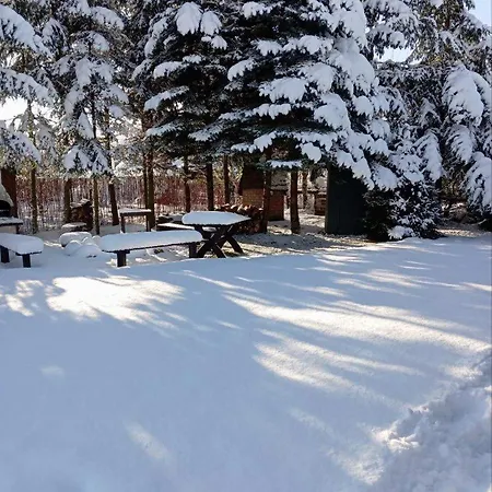 Letnia U Romana Zalewo (Ostroda)