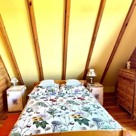 Letnia U Romana * Zalewo (Ostroda)